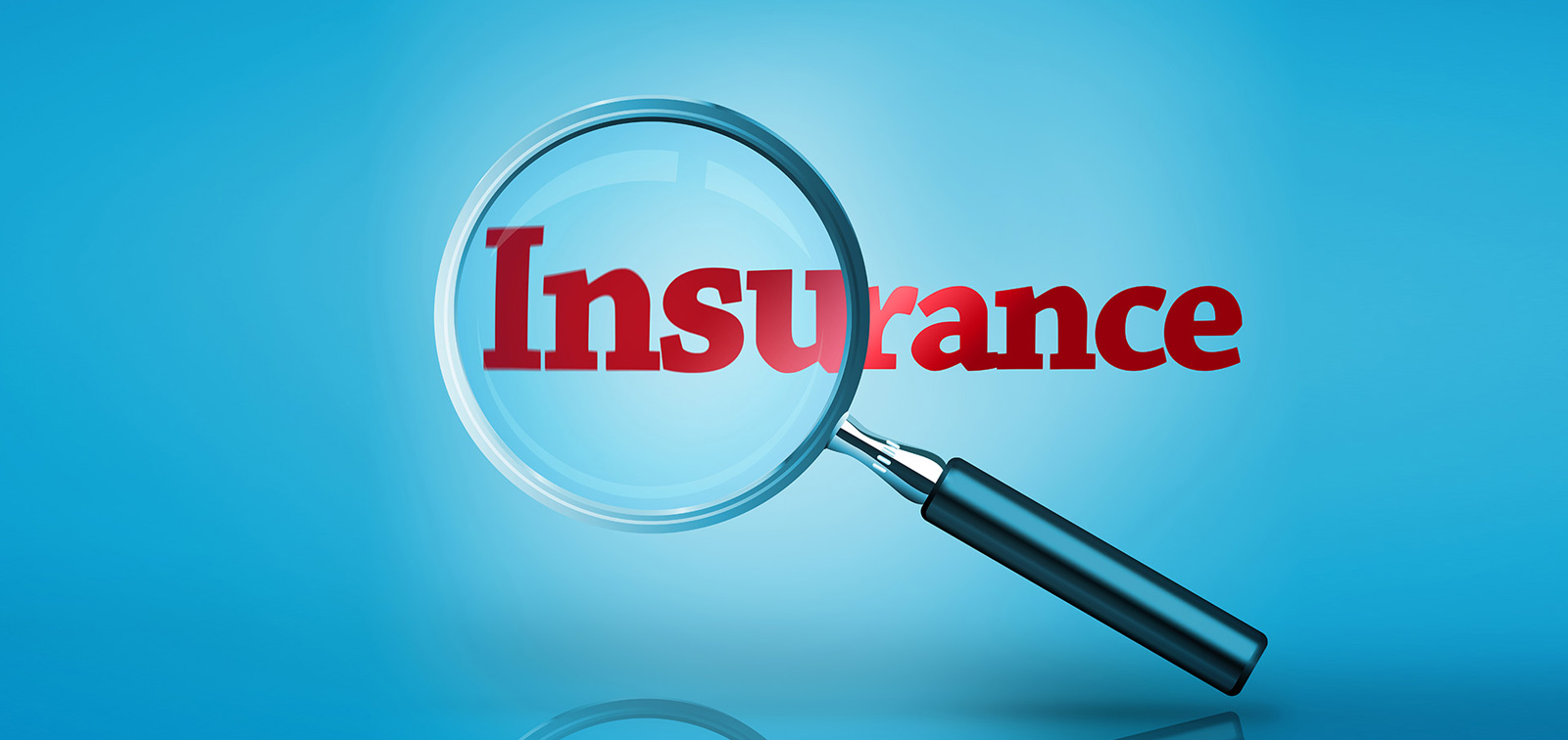 Insurance Investigations